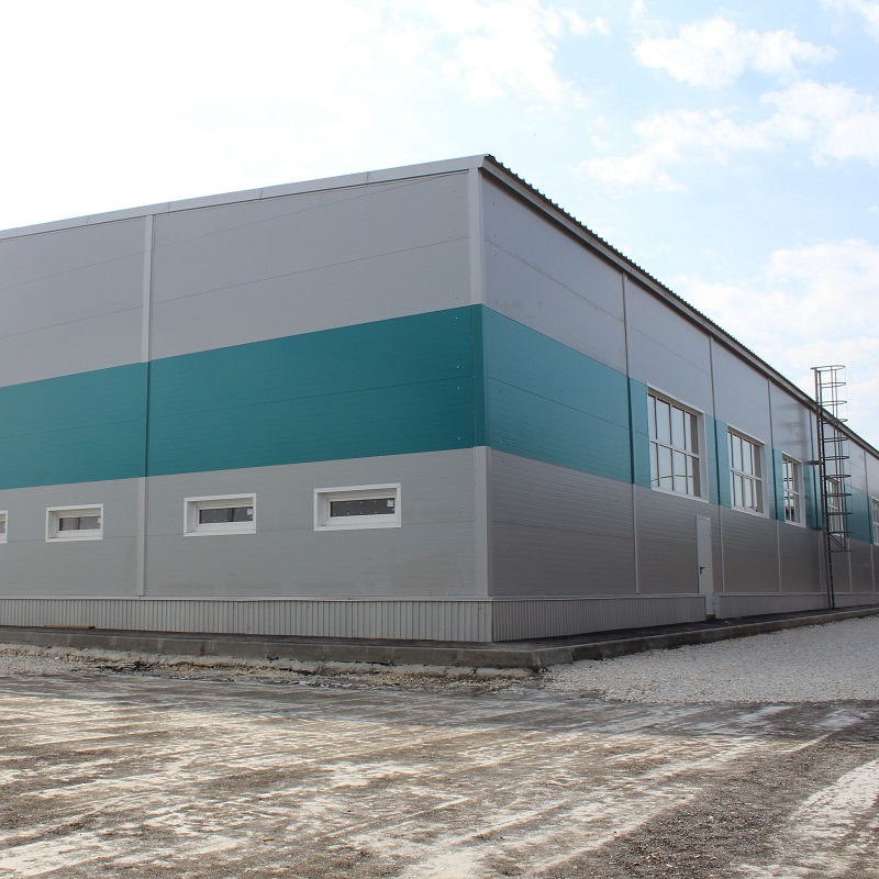 Steel Structure Workshop With Crane
