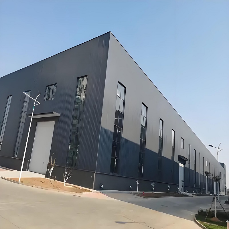 Steel Structure Industrial Building