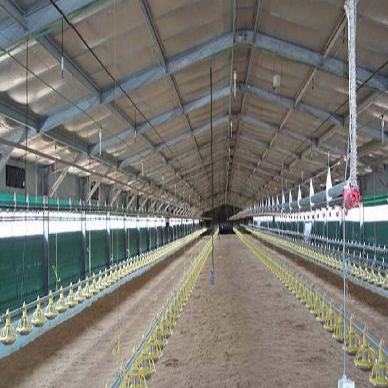 Modern Design Steel Structure Chicken House