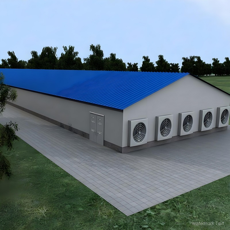Various Poultry Houses Made Of Steel Structure
