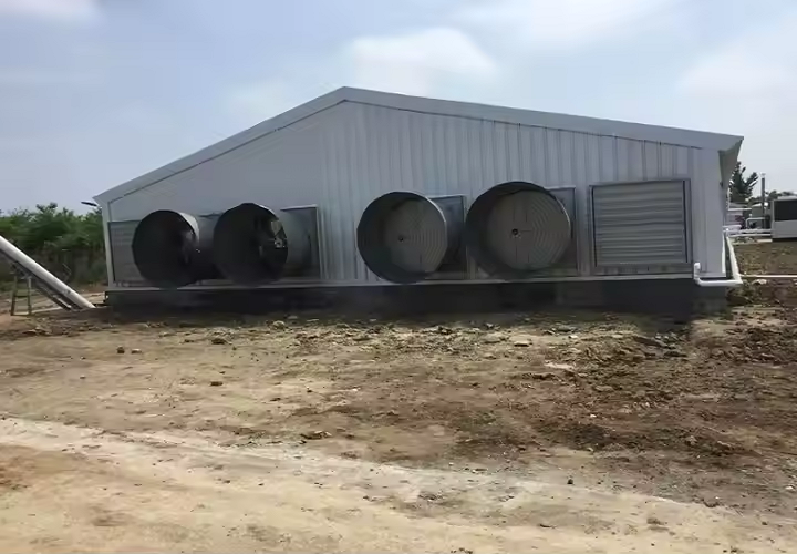 Steel Structure Prefabricated Poultry House